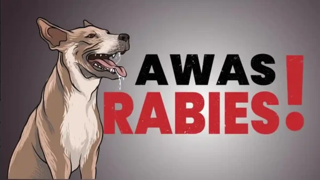 ilustrasi_rabies