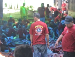 Komunitas Pedagang Ayam Kupang Kurbankan 14 Sapi dan 8 Kambing di Idul Adha 2026