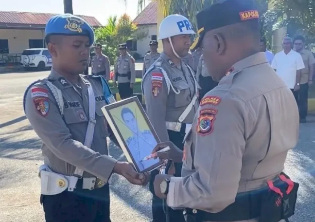 PTDH kupang