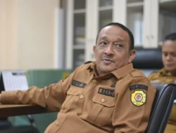 jefri-pelt